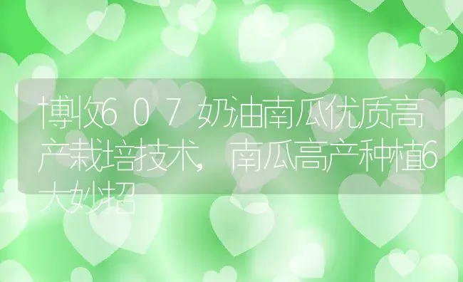 博收607奶油南瓜优质高产栽培技术,南瓜高产种植6大妙招 | 养殖学堂