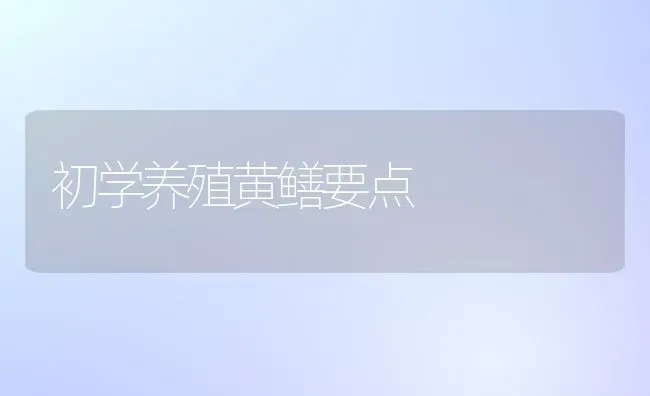 初学养殖黄鳝要点 | 养殖知识