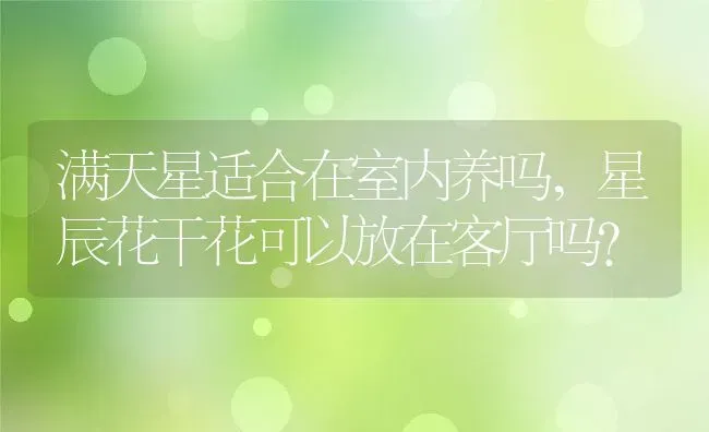 满天星适合在室内养吗,星辰花干花可以放在客厅吗？ | 养殖学堂