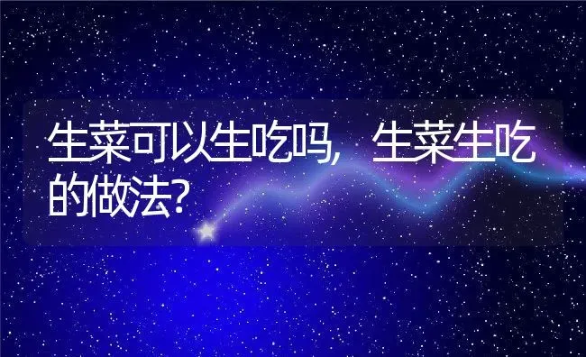 生菜可以生吃吗,生菜生吃的做法？ | 养殖科普