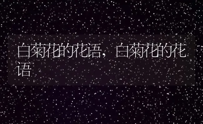 白菊花的花语,白菊花的花语 | 养殖科普