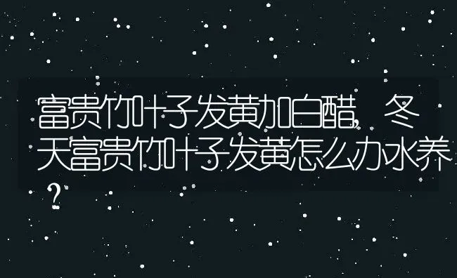 富贵竹叶子发黄加白醋,冬天富贵竹叶子发黄怎么办水养？ | 养殖学堂