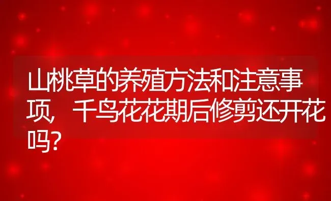 山桃草的养殖方法和注意事项,千鸟花花期后修剪还开花吗？ | 养殖科普