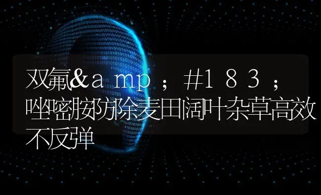 双氟&#183;唑嘧胺防除麦田阔叶杂草高效不反弹 | 养殖知识