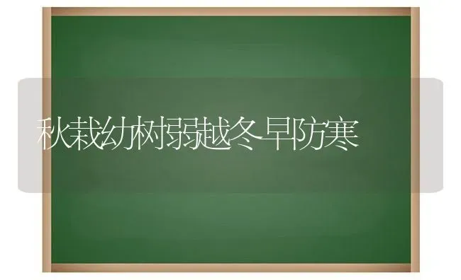 秋栽幼树弱越冬早防寒 | 养殖知识