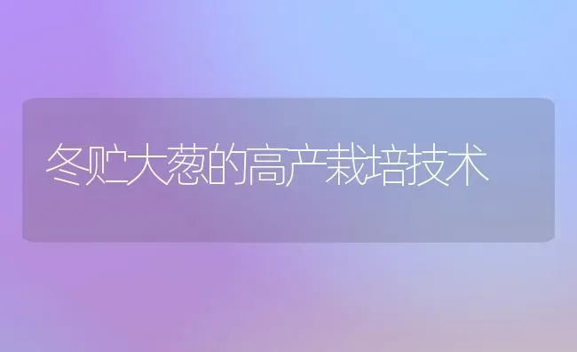 冬贮大葱的高产栽培技术 | 养殖技术大全