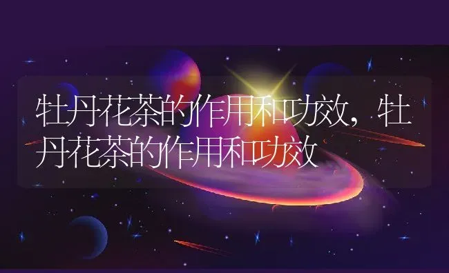 牡丹花茶的作用和功效,牡丹花茶的作用和功效 | 养殖科普