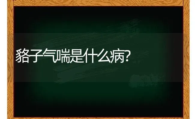 貉子气喘是什么病? | 养殖知识