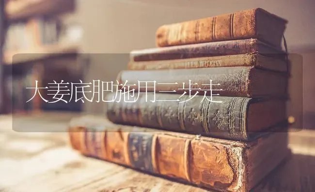 大姜底肥施用三步走 | 养殖知识