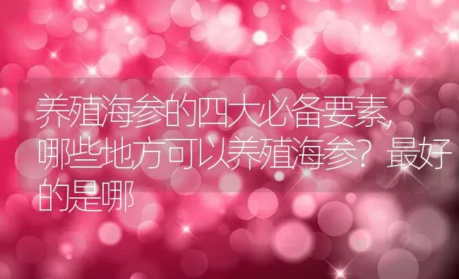 养殖海参的四大必备要素,哪些地方可以养殖海参？最好的是哪 | 养殖学堂