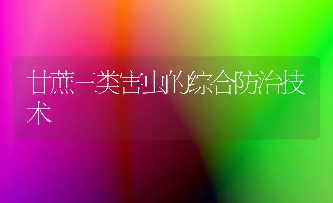 甘蔗三类害虫的综合防治技术 | 养殖知识