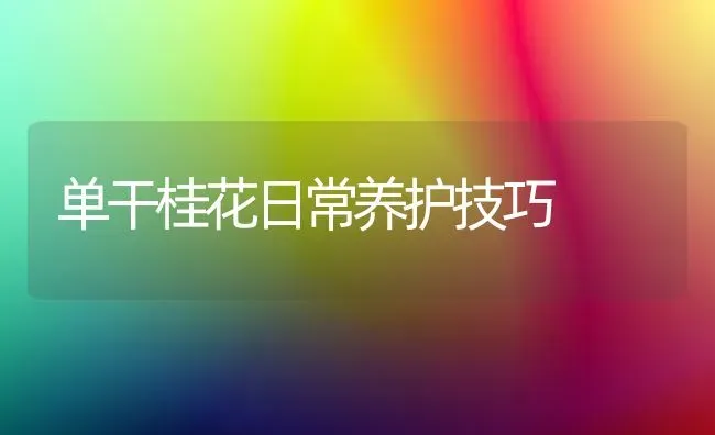 单干桂花日常养护技巧 | 养殖技术大全