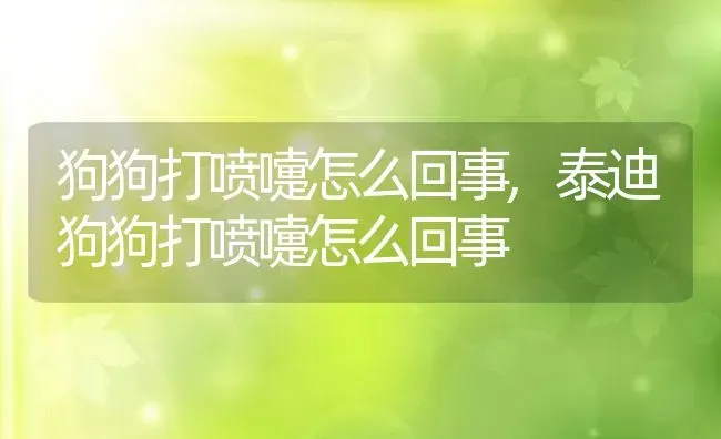 狗狗打喷嚏怎么回事,泰迪狗狗打喷嚏怎么回事 | 养殖资料