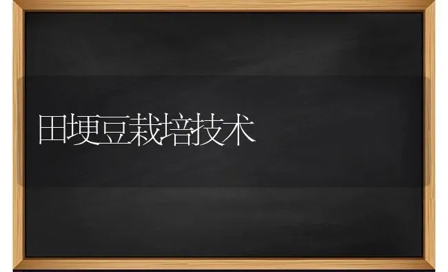 田埂豆栽培技术 | 养殖技术大全