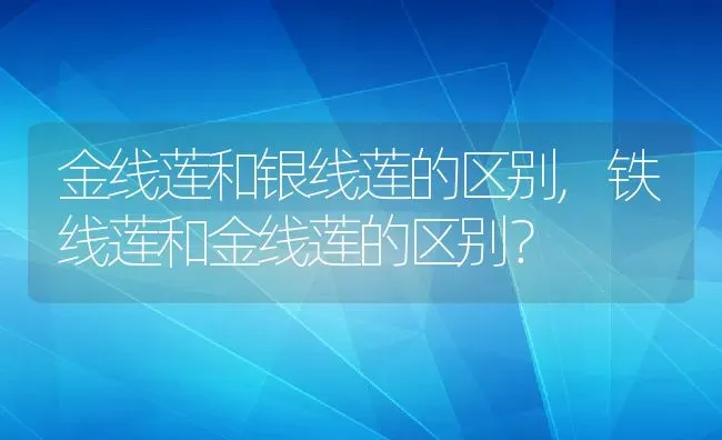 金线莲和银线莲的区别,铁线莲和金线莲的区别？ | 养殖科普