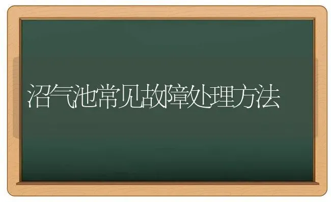 沼气池常见故障处理方法 | 养殖技术大全