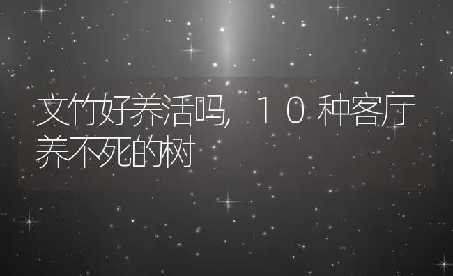 文竹好养活吗,10种客厅养不死的树 | 养殖学堂