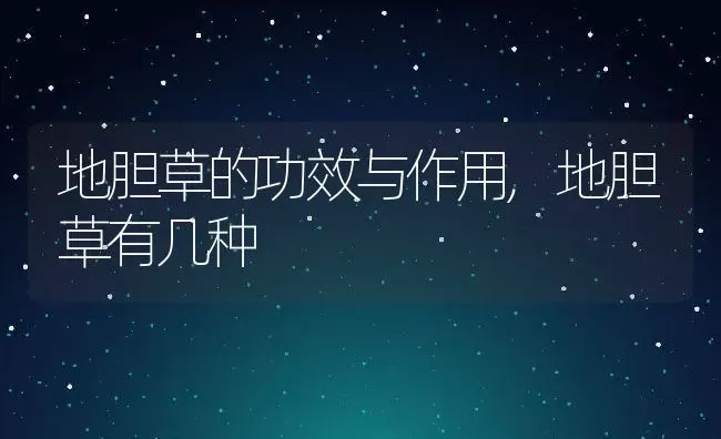 地胆草的功效与作用,地胆草有几种 | 养殖学堂