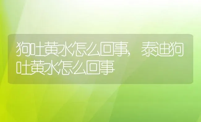 狗吐黄水怎么回事,泰迪狗吐黄水怎么回事 | 养殖资料