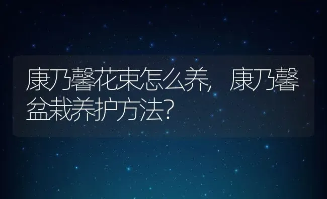 康乃馨花束怎么养,康乃馨盆栽养护方法？ | 养殖科普