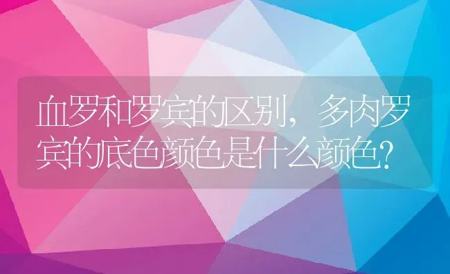 血罗和罗宾的区别,多肉罗宾的底色颜色是什么颜色？ | 养殖科普