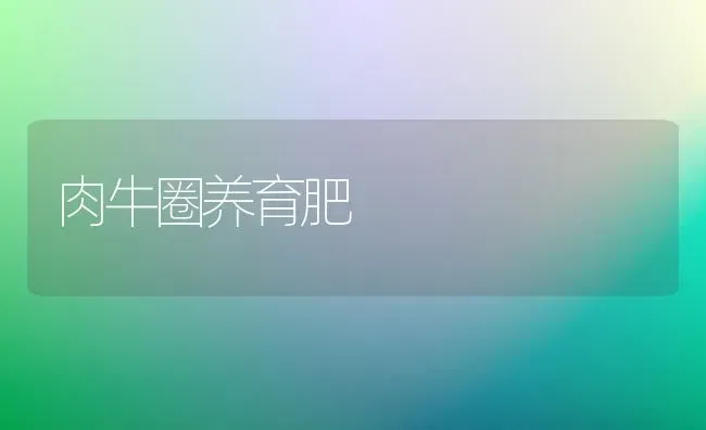 肉牛圈养育肥 | 养殖知识