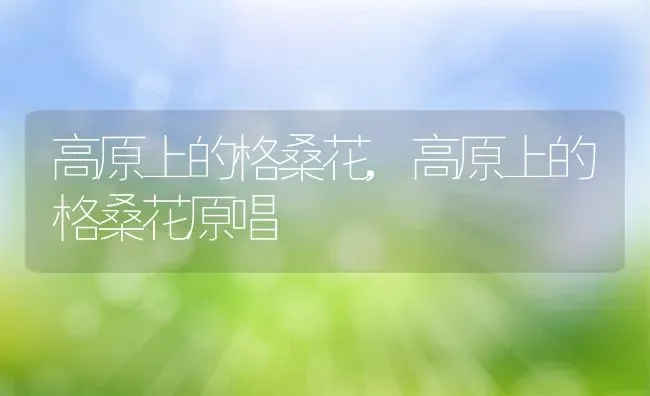 高原上的格桑花,高原上的格桑花原唱 | 养殖资料
