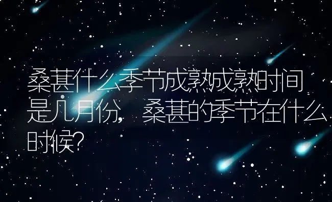 桑葚什么季节成熟成熟时间是几月份,桑葚的季节在什么时候？ | 养殖科普