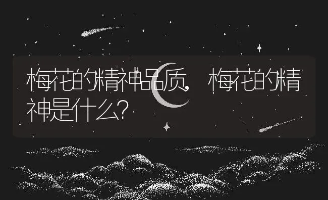 梅花的精神品质,梅花的精神是什么？ | 养殖科普