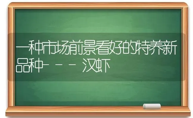 一种市场前景看好的特养新品种---汉虾 | 养殖技术大全