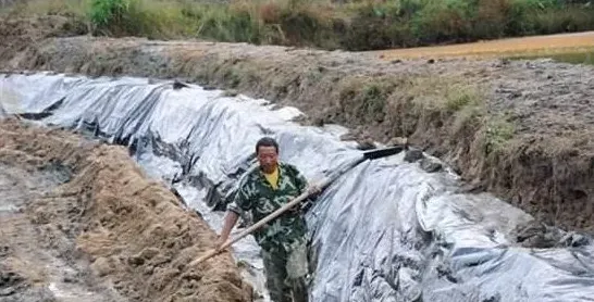 水产健康养殖池塘清淤及消毒技术 | 农广天地