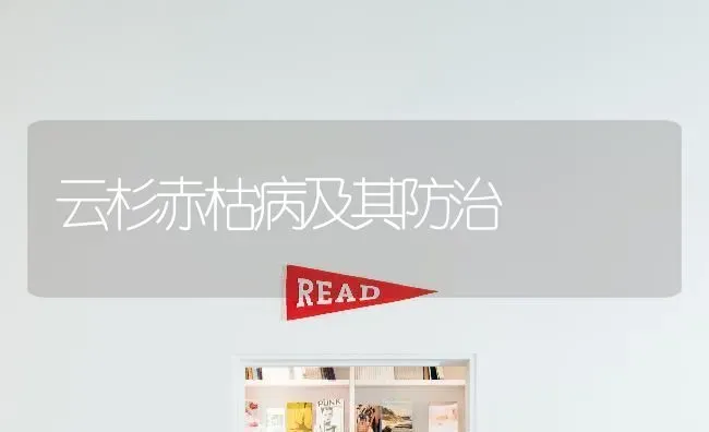 云杉赤枯病及其防治 | 养殖知识