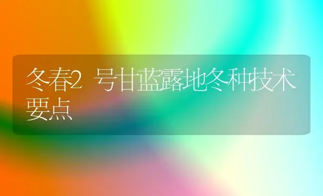 冬春2号甘蓝露地冬种技术要点 | 养殖知识