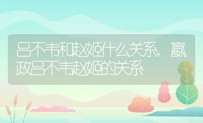 吕不韦和赵姬什么关系,嬴政吕不韦赵姬的关系 | 养殖学堂