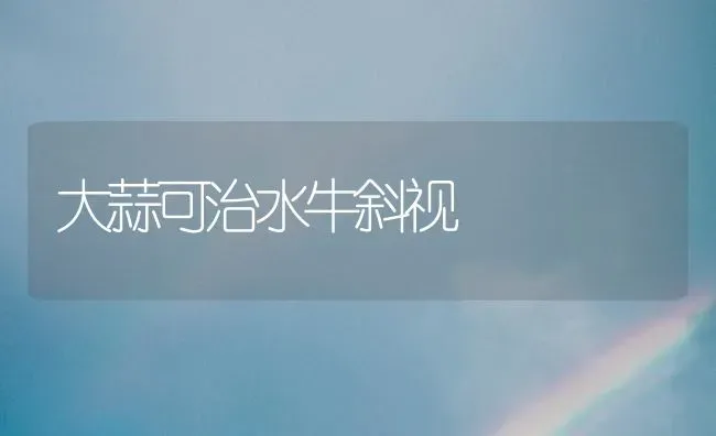 无公害牛蒡栽培技术 | 养殖技术大全