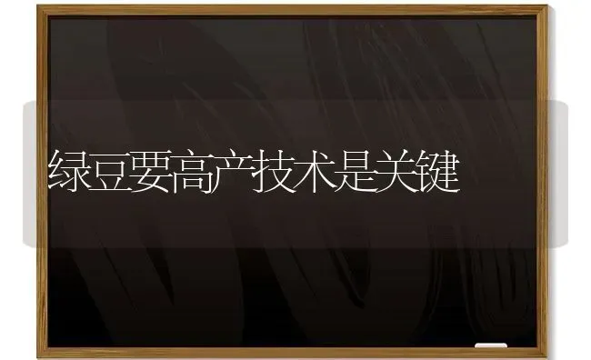 绿豆要高产技术是关键 | 养殖技术大全