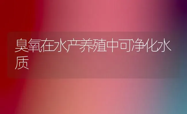 臭氧在水产养殖中可净化水质 | 养殖技术大全