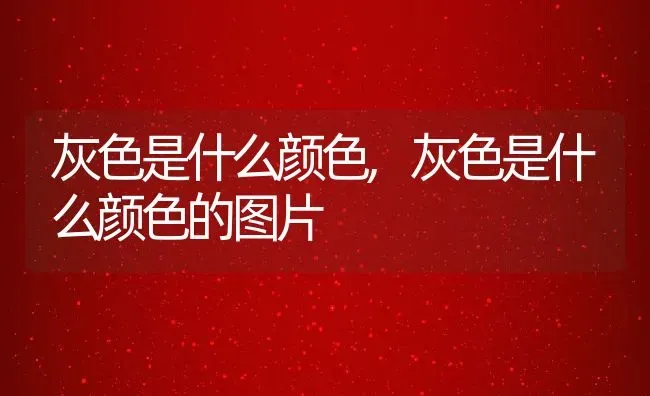 灰色是什么颜色,灰色是什么颜色的图片 | 养殖科普