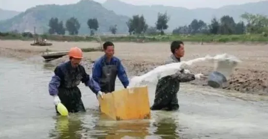 水产健康养殖池塘清淤及消毒技术 | 农广天地