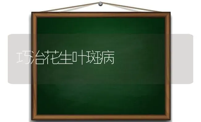 巧治花生叶斑病 | 养殖技术大全