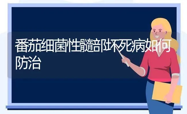 番茄细菌性髓部坏死病如何防治 | 养殖技术大全