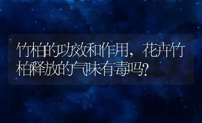 怎么消灭跳蚤,家里跳蚤怎么清除 | 养殖科普