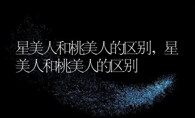 星美人和桃美人的区别,星美人和桃美人的区别 | 养殖科普