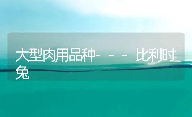 肉鸽保健砂的配制及供给方法 | 养殖技术大全