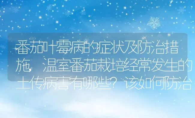 番茄叶霉病的症状及防治措施,温室番茄栽培经常发生的土传病害有哪些？该如何防治 | 养殖学堂