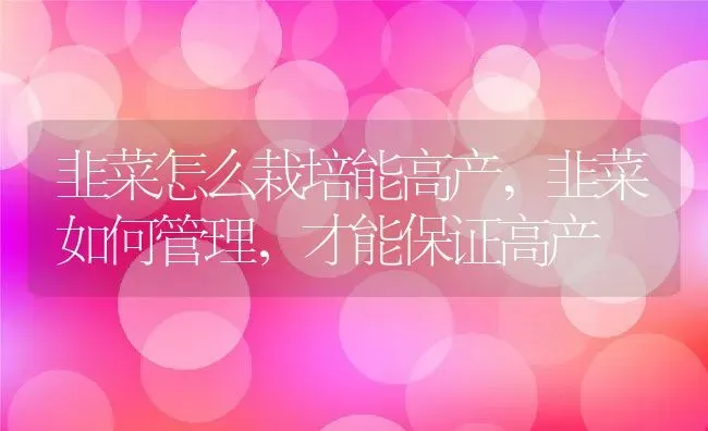韭菜怎么栽培能高产,韭菜如何管理，才能保证高产 | 养殖学堂