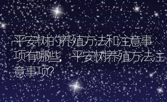 平安树的养殖方法和注意事项有哪些,平安树养殖方法注意事项？ | 养殖科普