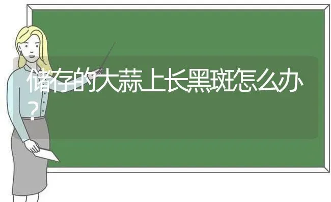 储存的大蒜上长黑斑怎么办? | 养殖技术大全