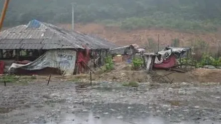 养殖污染之“痛”怎么治？生猪禁养、建污水处理厂 | 生活常识