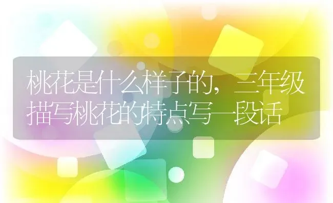 桃花是什么样子的,三年级描写桃花的特点写一段话 | 养殖学堂